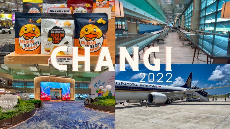 image 0 2022 シンガポール空港 クリスフライヤー・ゴールドラウンジ ツアー（4k・英語ナレーション付き）