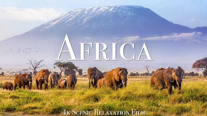Africa 4k - Scenic Relaxation Film With African Music