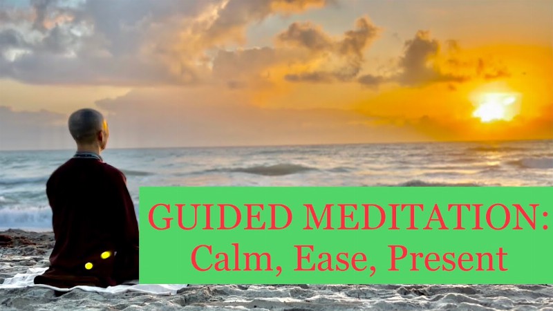 image 0 Daily Calm - Ease : 10 Min Guided Meditation : Be Truly Present
