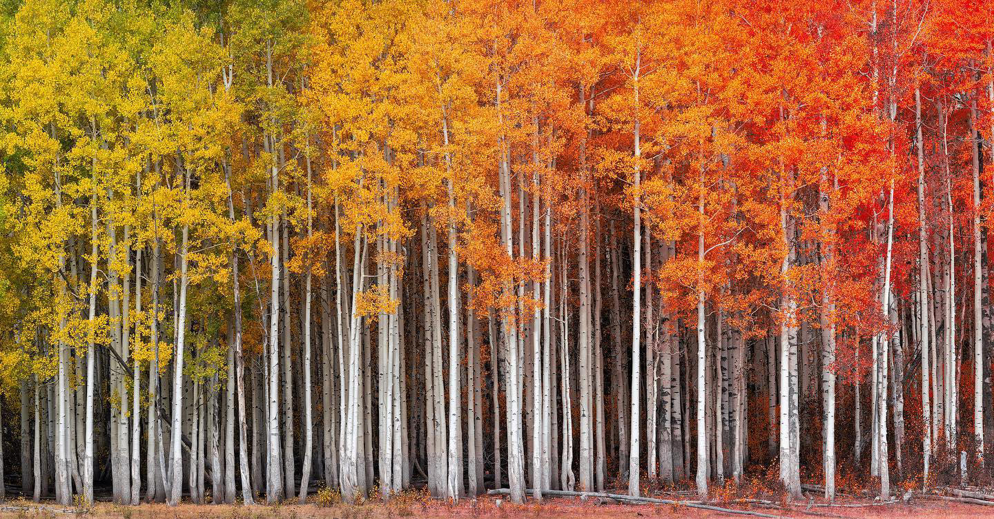 image  1 Dustin LeFevre🇺🇸 - Utah is kinda pretty in the fall#utahfallcolors #utah #autumn #fallcolors