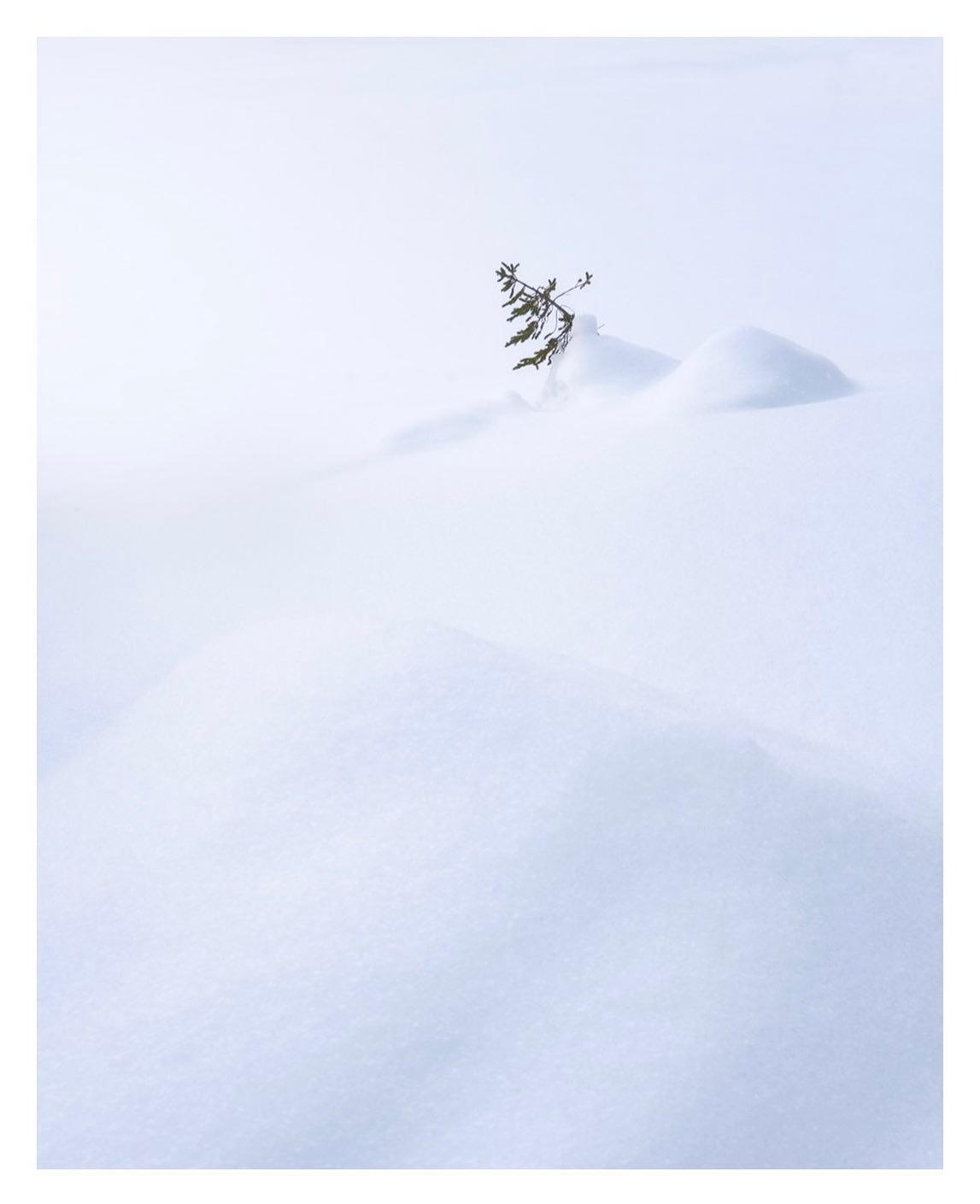 image  1 Hans Gunnar Aslaksen - Taken after a heavy snowfall last year