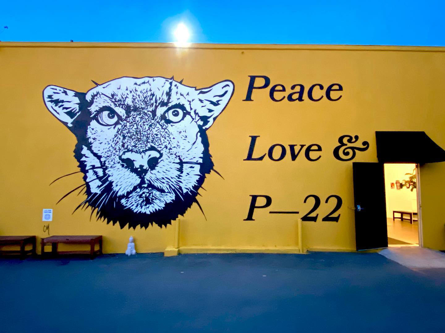 image  1 On February 4th, we will come together to celebrate the life and legacy of P-22 at atahe sold out Gr