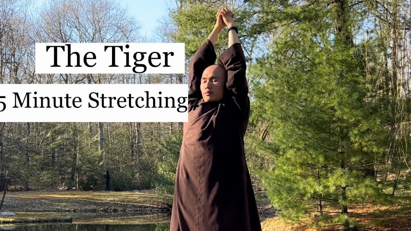 Qigong The Tiger : 5 Minute Stretching Arms Heal Neck And Lower Back