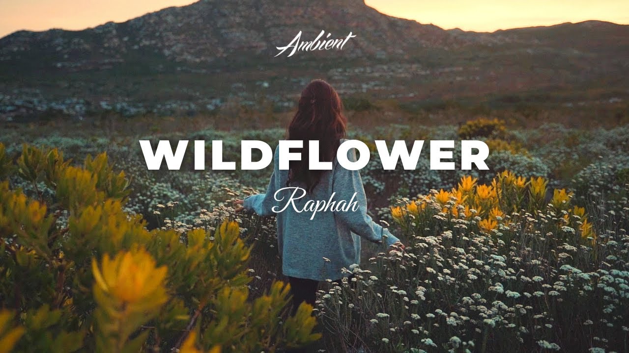 image 0 Raphah - Wildflower [relaxing Piano Ambient]
