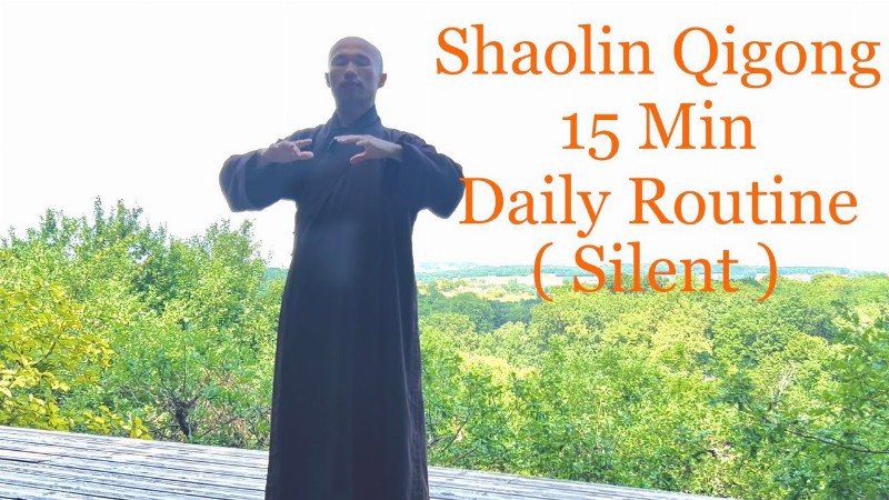 Shaolin Qigong 15 Minute Daily Routine ( Silent )