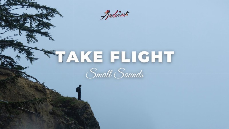 image 0 Small Sounds - Take Flight (norfoast Rework) [chill Beats Ambient]