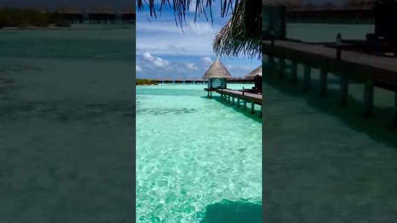 image 0 Summer Holiday In Maldives 🏝️🏝️
