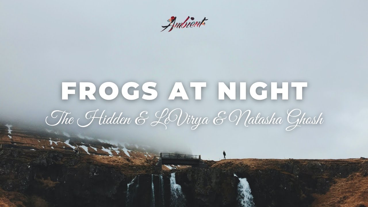 The Hidden & Levirya & Natasha Ghosh - Frogs At Night [relaxing Chill Ambient]
