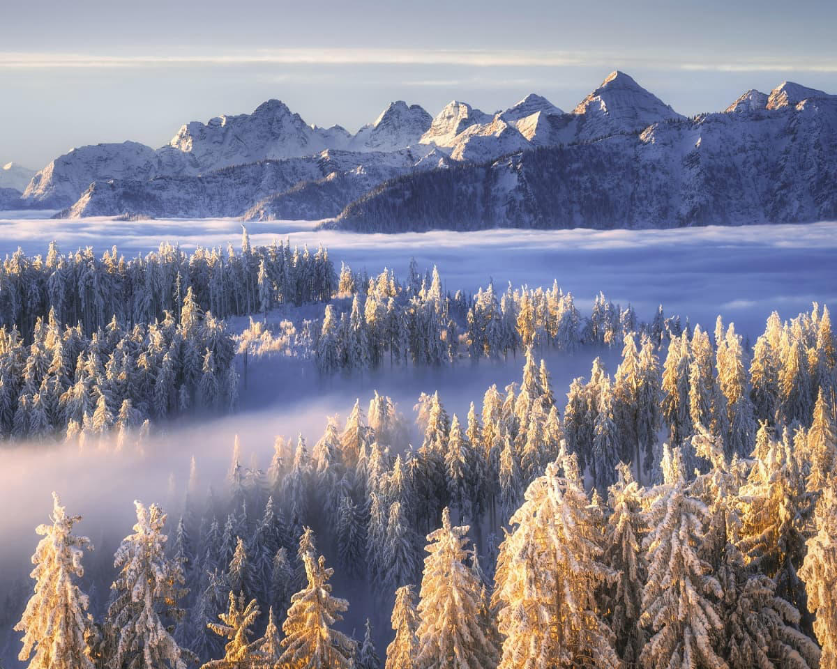 image  1 The Perfect Winter ViewSunrise light, backdrop mountains, still snowy trees, frost, a sea of fog of